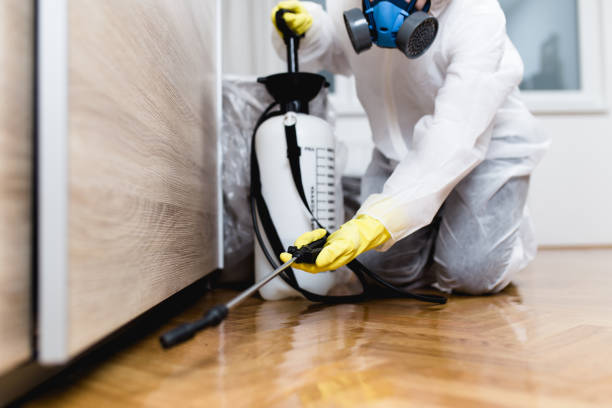 Best Mosquito Control Services  in Racine, WI