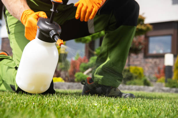 Pest Control for Restaurants in Racine, WI