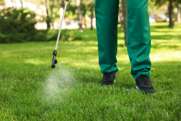 Best Best Pest Control Companies  in Racine, WI