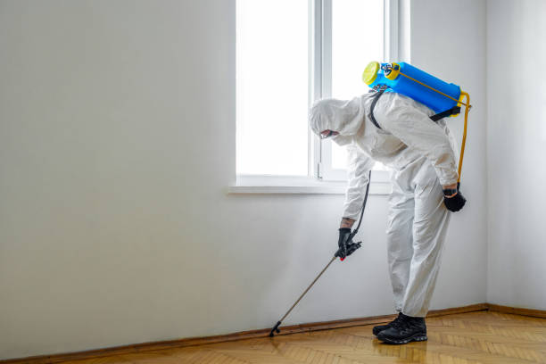 Best Termite Control Services  in Racine, WI