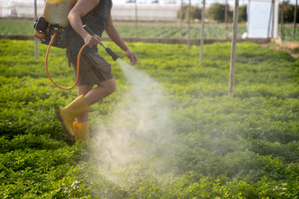 Best Affordable Exterminators  in Racine, WI