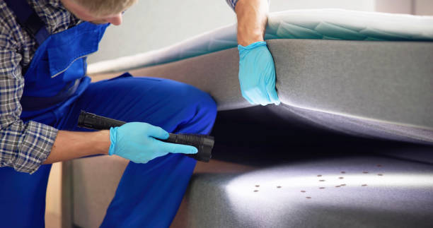 Best Local Pest Control Services  in Racine, WI