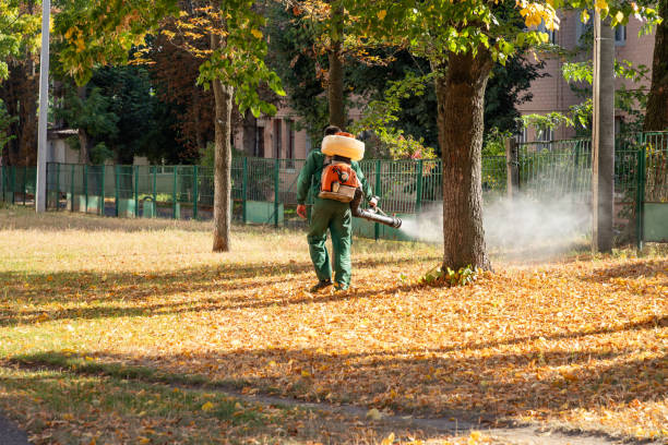 Trusted Racine, WI Pest Control Experts