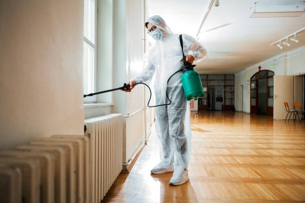Best Affordable Pest Control Services  in Racine, WI