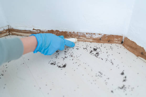 Best Bed Bug Extermination  in Racine, WI