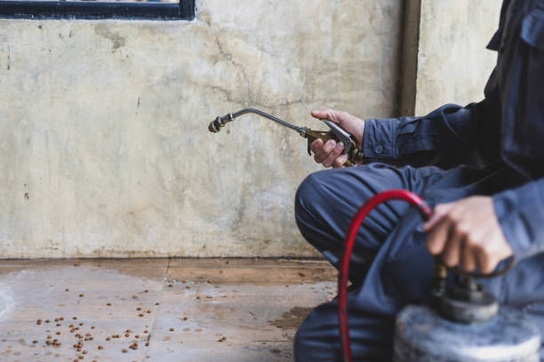 Best Best Pest Control Near Me  in Racine, WI