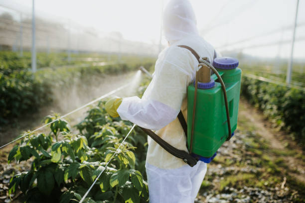 Best Insect Control  in Racine, WI